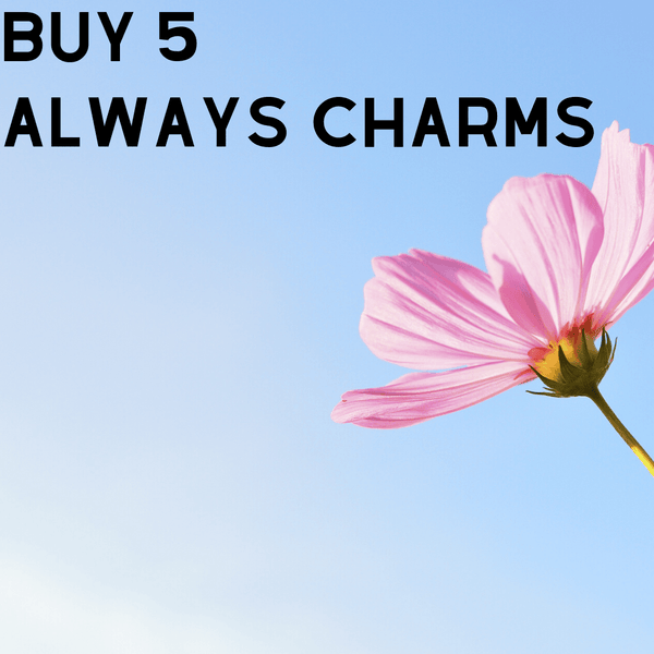 The Always ❤️Charm A Well Run Life Get 5 Always Charms 