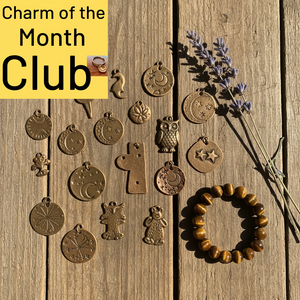 Handmade Charm of the Month Club — monthly bronze charm subscription, A Well Run Life