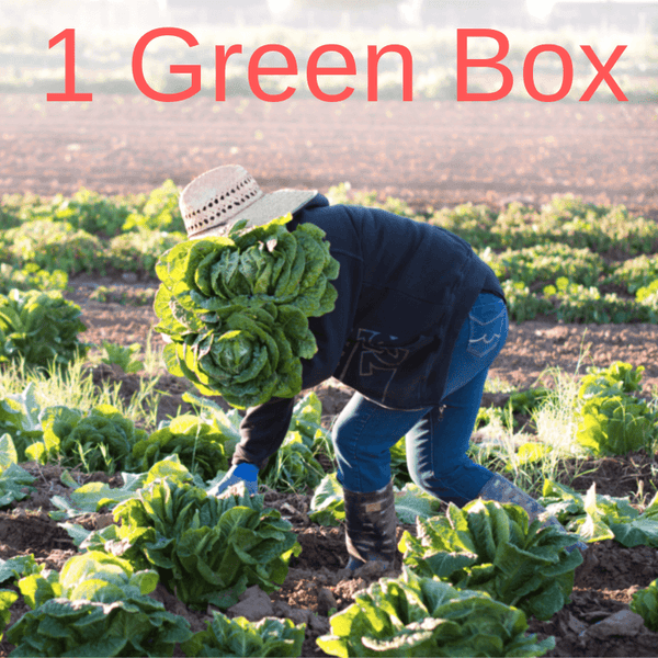 Green Box: Weekly Subscription to the Best Local Food (1 Week or 4 Weeks or Greens Only)! A Well Run Life Single Box Option 