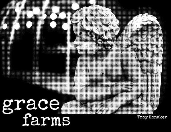 Grace Farms Tee Shirt A Well Run Life Kids - L 